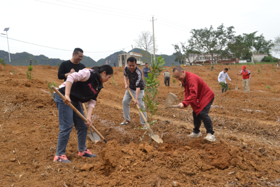 黨員種植堅果活動現(xiàn)場1.png