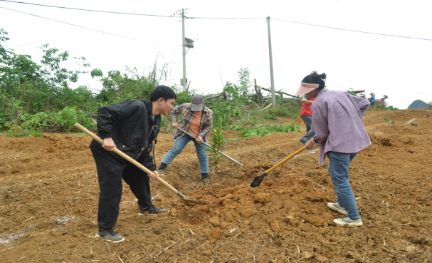 黨員種植堅果活動現(xiàn)場2.png