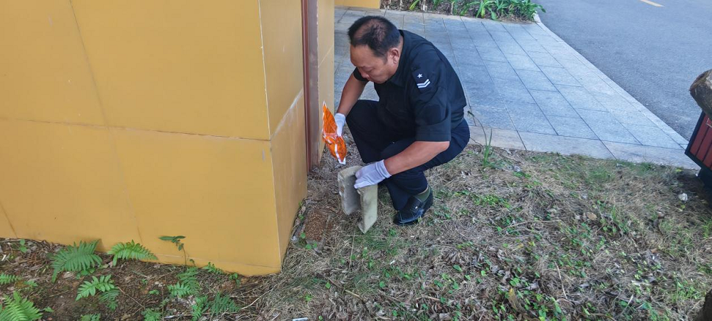 1761901203100781.png 圖片2.png